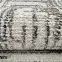 Szőnyeg Treasure 1,6/2,3 0k573a Roa krém/bézs színű,7