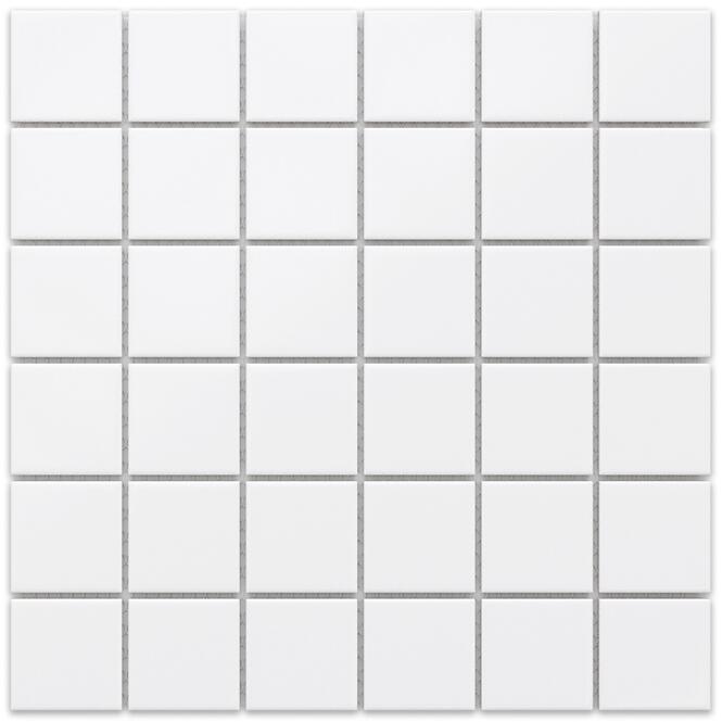 Mozaik Square White Mat 30/30