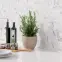 Mozaik hexagon Classic Carrara Mat 27,7/32,3,6