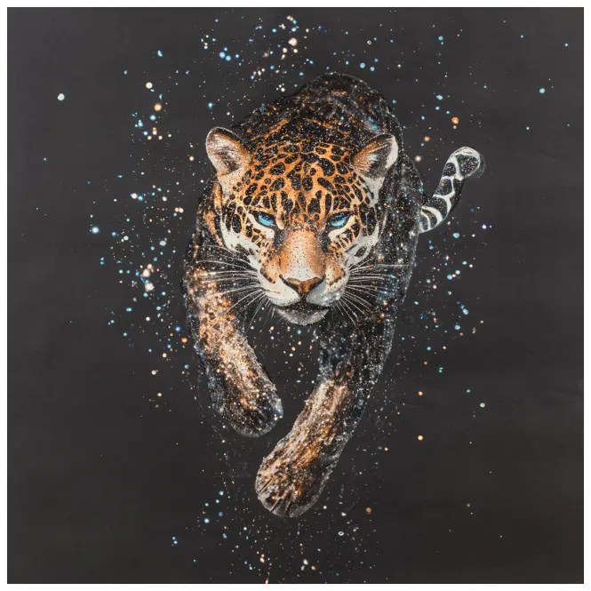 Kép 60x60x2.8cm WG2504771AAN