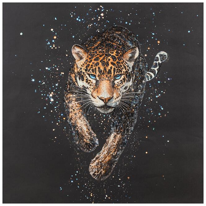 Kép 60x60x2.8cm WG2504771AAN