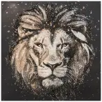 Kép 60x60x2.8cm WG2504773AAN