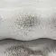 Szőnyeg Rabbit Fur Big Bubble 1,4/1,9 Sm215 bézs,7