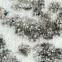 Szőnyeg Frisee Apollo 1,2/1,7 2068 0444,5