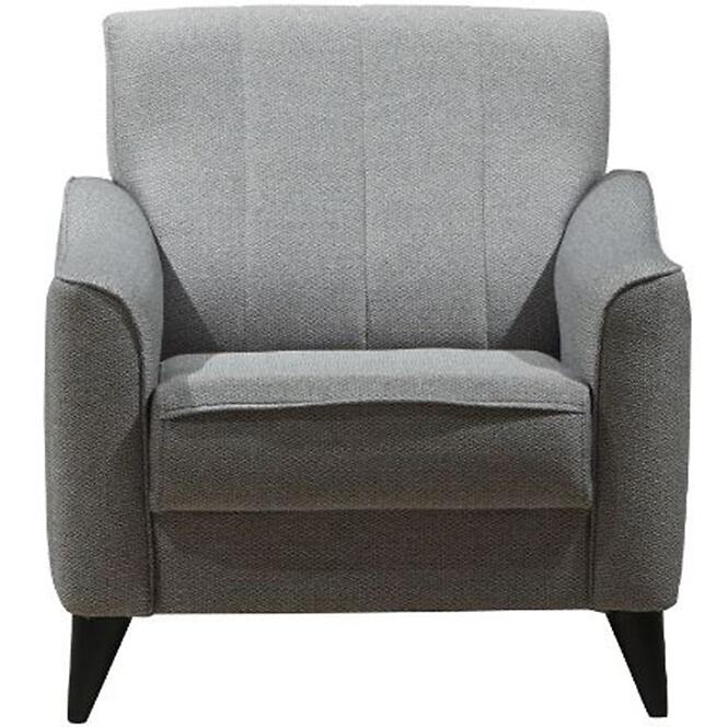Fotel Prestige 1