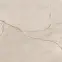 Morella Crema Poler 60/60,5