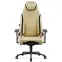 Irodai Gaming Szék Diablo X.Eye Prime Normal Broken Gold,2