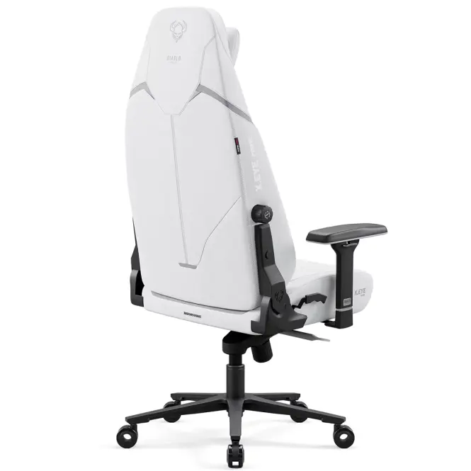 Irodai Gaming Szék Diablo X.Eye Prime Ghosted White