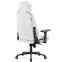 Irodai Gaming Szék Diablo X.Eye Prime Ghosted White,4