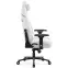 Irodai Gaming Szék Diablo X.Eye Prime Ghosted White,5