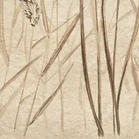 Csempe Dekoratív Beelitz Grass A 119,8/59,8