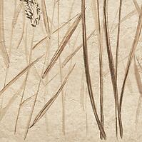Csempe Dekoratív Beelitz Grass A 119,8/59,8