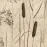 Csempe Dekoratív Beelitz Grass B 119,8/59,8