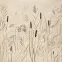 Csempe Dekoratív Beelitz Grass B 119,8/59,8,2
