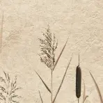 Csempe Dekoratív Beelitz Grass C 119,8/59,8