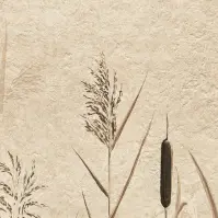 Csempe Dekoratív Beelitz Grass C 119,8/59,8