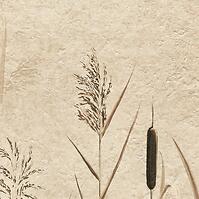 Csempe Dekoratív Beelitz Grass C 119,8/59,8