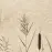 Csempe Dekoratív Beelitz Grass C 119,8/59,8