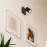 Lampa Dolomit 1BL AS-DOG101B LS1