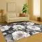 Szőnyeg Phoenix 0,8/1,5 6105 141,22