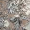 Szőnyeg Phoenix 1,2/1,7 6107 125,20