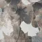 Szőnyeg Phoenix 1,6/2,3 6106 122,22