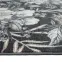 Szőnyeg Phoenix 1,6/2,3 6107 141,21