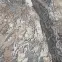 Szőnyeg Phoenix 2,0/3,0 6099 122,6