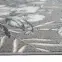 Szőnyeg Phoenix 2,0/3,0 6107 144,6
