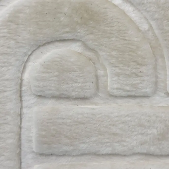 Szőnyeg Eva Embossed 1,9/2,7 Em2025-01 krém színű,5