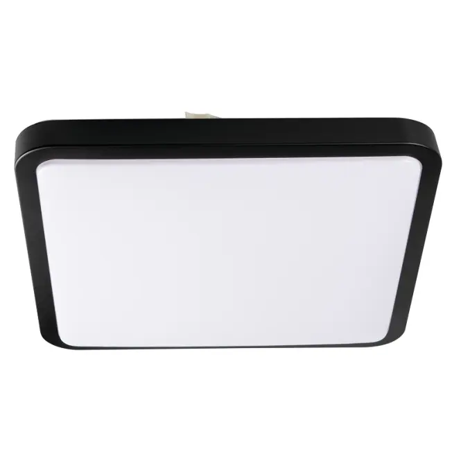 Mennyezeti lámpa EVRE LED 66121 24W PL1,2