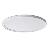 Mennyezeti lámpa LED 66070 22W WHITE O PL1