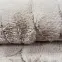 Szőnyeg Rabbit Fur Cannes 0,8/1,5 Td2926-B1 taupe,9
