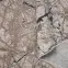 Szőnyeg Phoenix 1,2/1,7 6077 0122 1,15