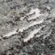 Szőnyeg Victoria 2,0/3,0 8005 0454 1,11