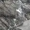 Szőnyeg Victoria 0,8/1,5 8079 0944 1,12