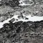 Szőnyeg Victoria 1,6/2,3 8079 0944 1,10