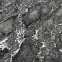 Szőnyeg Victoria 1,6/2,3 8079 0944 1,11
