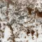 Szőnyeg Proxima 1,4/2,0 Px5 2845a Pys44 120,5