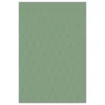 Szőnyeg India 1,6/2,3 M36 9793a zöld