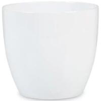 fehér
