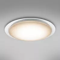 Mennyezeti lámpa 41310-60 Led 55cm