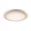 Mennyezeti lámpa 41310-60 Led 55cm,4