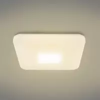 Mennyezeti lámpa 41337-24 Led 44x44cm