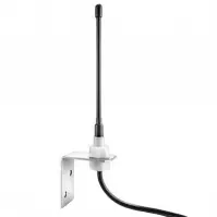 Extrane antenna