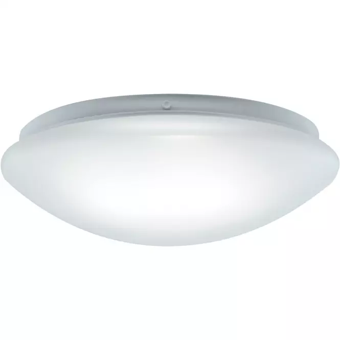 Mennyezeti lámpa Leon LED 24W 4000K 02782