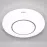 Mennyezett Lámpa Ringe LED 03283 24W 4000K