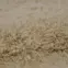 Szőnyeg Timmy 0,6/0,9 Beige,3