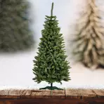 Karácsonyfa, lucfenyő  nat 220 cm.