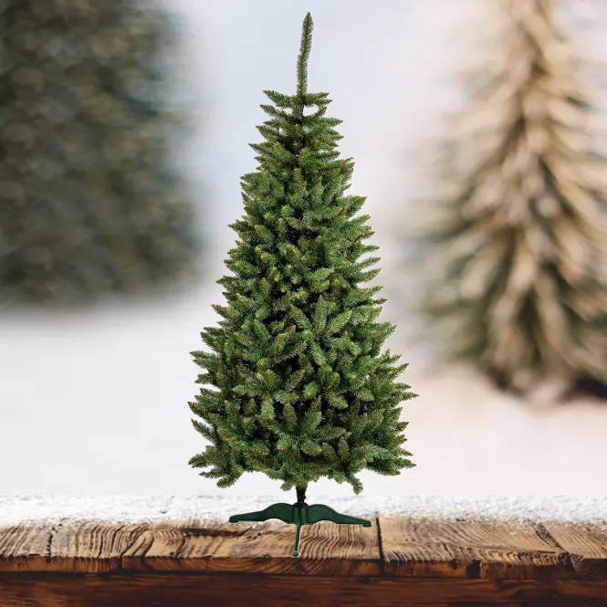Karácsonyfa, lucfenyő  nat 220 cm.